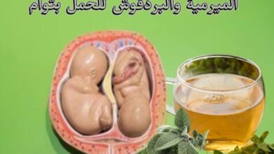 الميرمية والبردقوش للحمل بتوأم