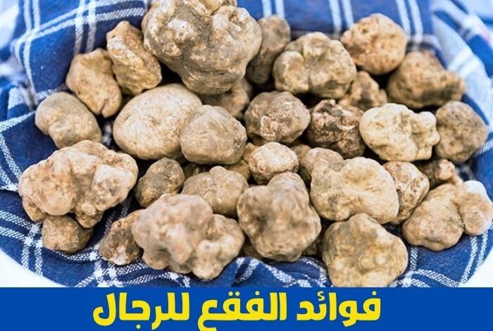 فوائد الفقع للرجال