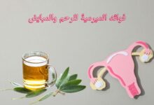 فوائد الميرمية للرحم والمبايض