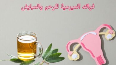 فوائد الميرمية للرحم والمبايض