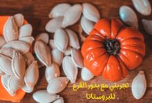 تجربتي مع بذور القرع للبروستاتا